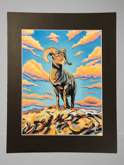 Bighorn Sheep - Matted Print
